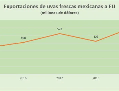 Exportación de uva mexicana a Estados Unidos incrementó 43% en 2019