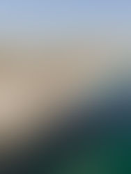 Riviera del Mar de Cortés: análisis del potencial real de Puerto Peñasco y Caborca para convertirse en la “Gold Coast de México”.