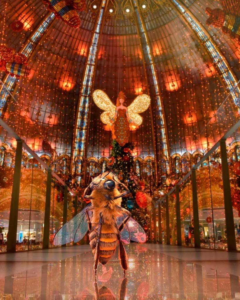 ‘B’: La abeja influencer más glamurosa