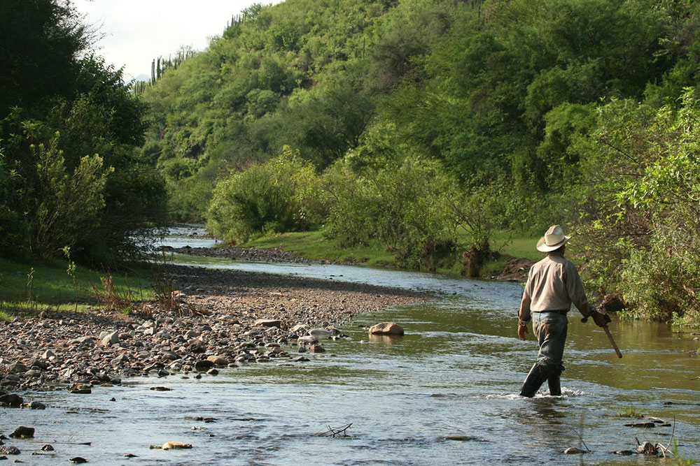 Bacanora Sonora Amy Leist