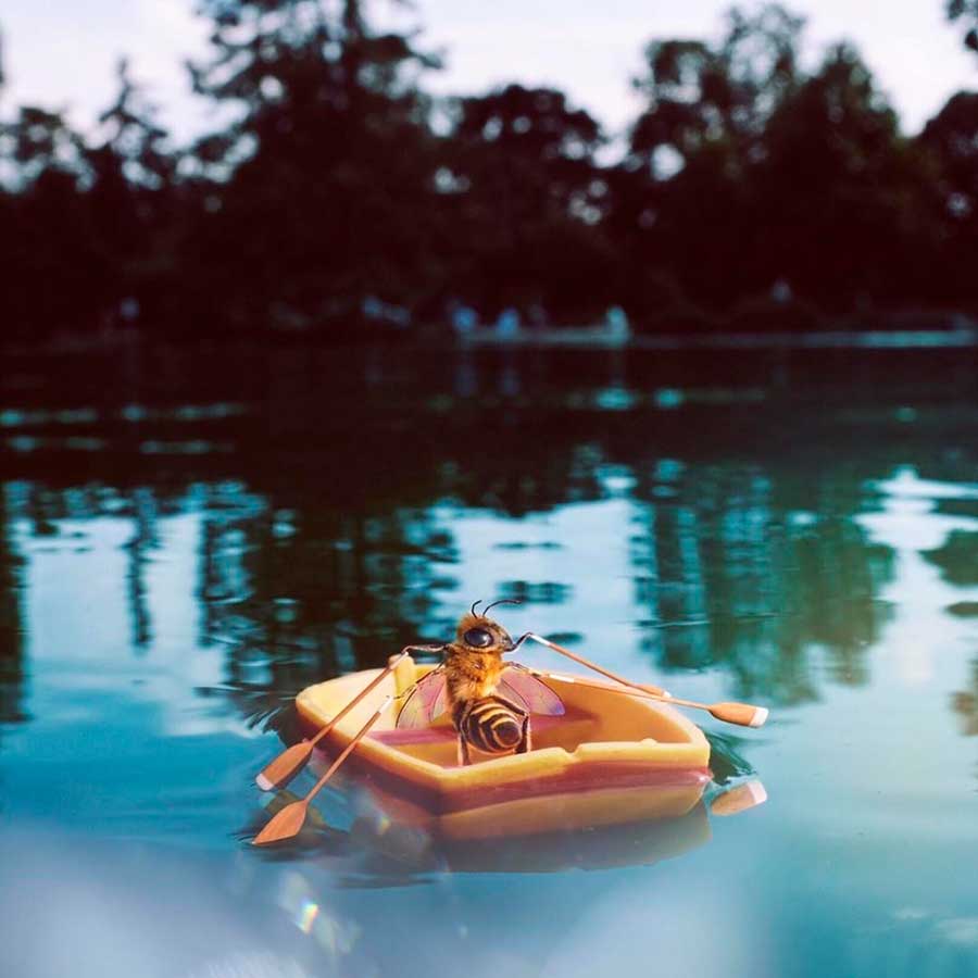 ‘B’: La abeja influencer más glamurosa