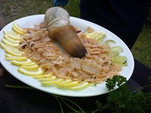 almeja GEODUCK o “trompa de elefante” (Panopea generosa)