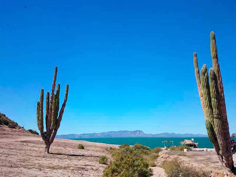 Bahía de Kino, Sonora