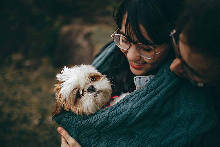 ¿Sabías que los perros pueden detectar la tristeza de sus dueños?