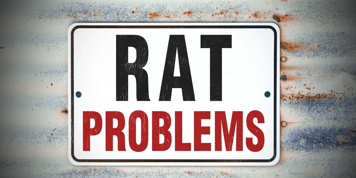 A picture of a warning sign that says Rat Problems