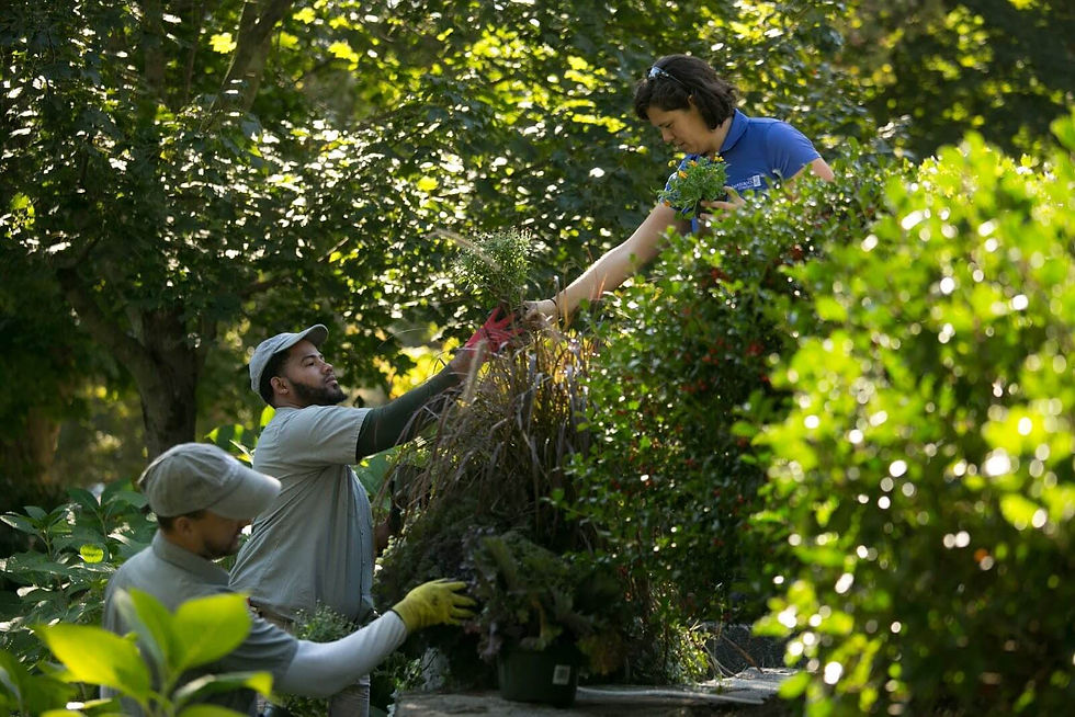 Our landscaping team planting greenery