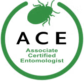 ace-logo.png
