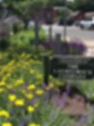 The-LaurelRock-Company-Community-Service.webp