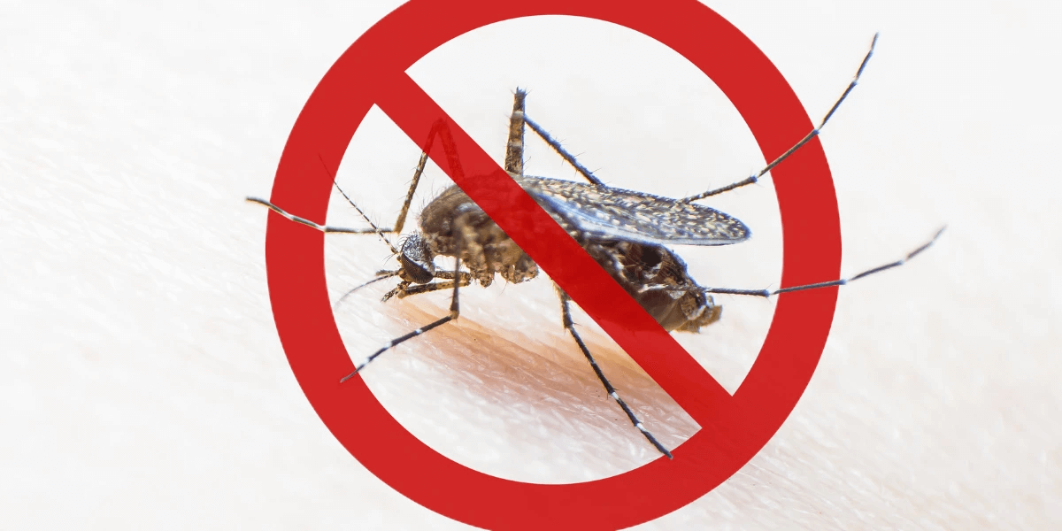 A no mosquito sign