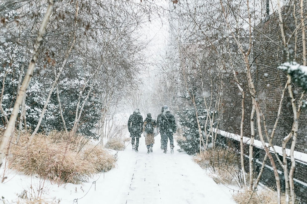Team walks a snowy path through a quiet winter landscape