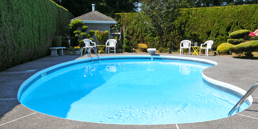 Backyard swimming pool with patio chairs and greenery