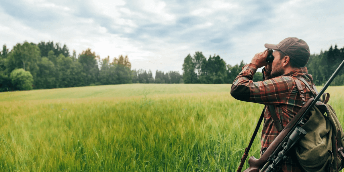 A hunter in a field looking at the distance through binoculars
