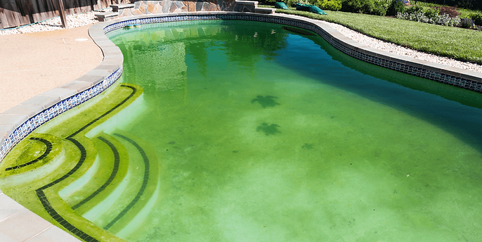 What Happens If You Don’t Water Gunite: Risks and Solutions
