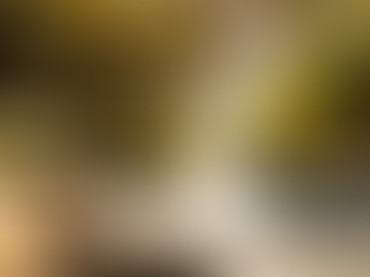 How Much Is a Gunite Pool? Essential Cost Insights for Homeowners