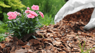 Mastering Landscaping with Wood Chips: Tips and Techniques for Success