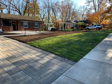New Lawn Installation