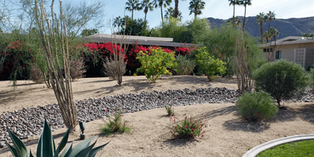 How Much Does Desert Landscaping Cost? | State College, PA