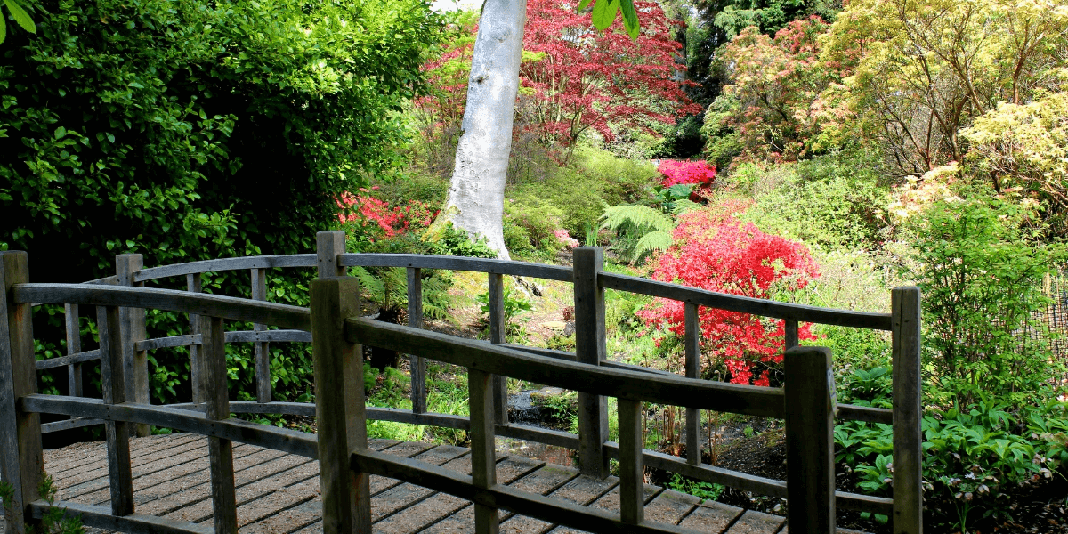 A Japanese garden design with wood bridge and water feature