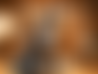 How to Groom a Bernedoodle: The Ultimate Guide