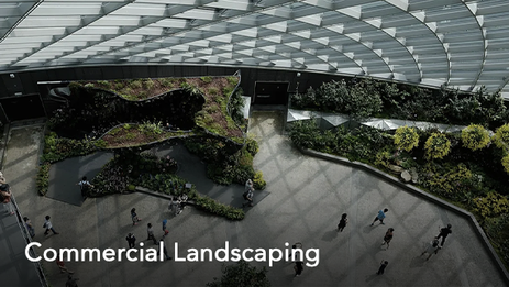 Commercial Landscaping