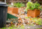 A garden that needs cleaning up