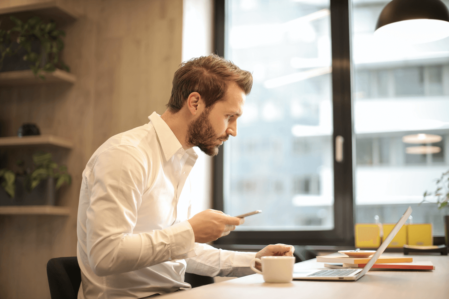 A person looking at a laptop to search