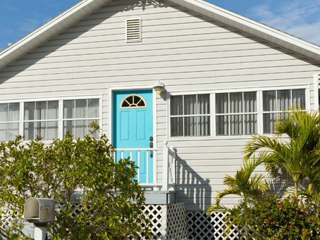 Essential Guide to Termite Protection in Florida | Port St. Lucie, Delray Beach