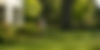 LaurelRockCompany-Exceptional-Residential-Landscapes-Header-Careers.jpg