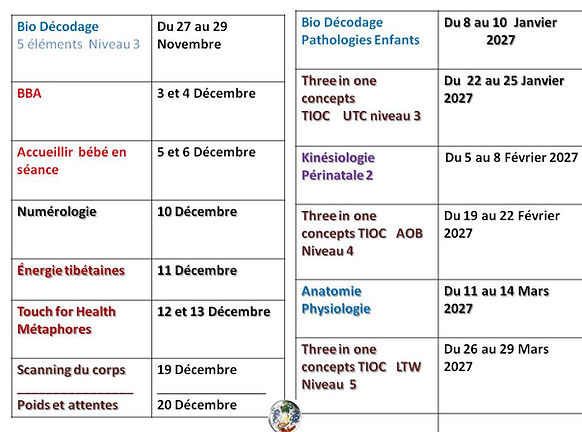 formation kinésiologie certifiante.jpg