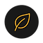 11 Website Images (81).png
