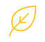 11 Website Images (89)_edited.png