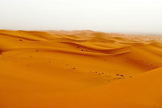 premium_photo-1666793331281-86c2ad117463-transformed.jpeg