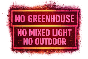 neon_edited.png