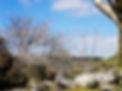 DSCF2851_edited.jpg