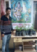 Sapling Distributionb.jpg