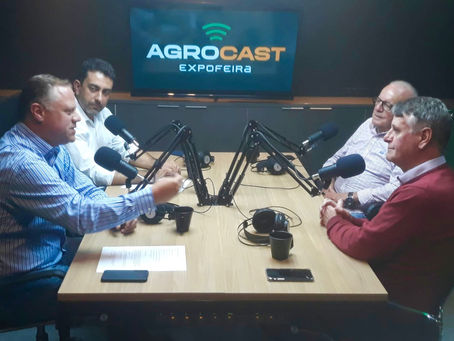 Produção e mercado de arroz na pauta do Agrocast Expofeira