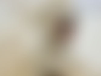 パピーHappyトレーニング