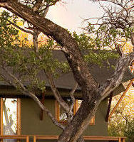 Mushara - Jangwa Tours and Safaris - Namibia Tours