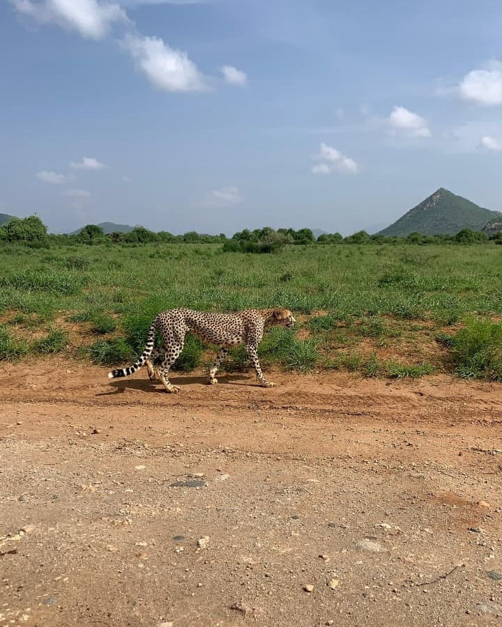 Photo by: Stephen Toropiye