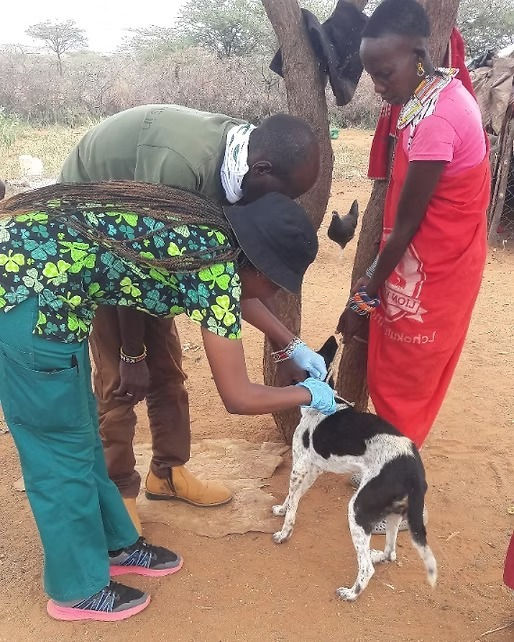 𝐆𝐢𝐧𝐠𝐞𝐫’𝐬 𝐇𝐨𝐩𝐞 – 𝐒𝐚𝐯𝐢𝐧𝐠 𝐋𝐢𝐯𝐞𝐬 𝐟𝐨𝐫 𝐀𝐧𝐢𝐦𝐚𝐥𝐬 & 𝐂𝐨𝐦𝐦𝐮𝐧𝐢𝐭𝐢𝐞𝐬 𝐢𝐧 𝐊𝐞𝐧𝐲𝐚