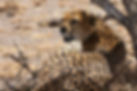 untitled-7089_edited.jpg