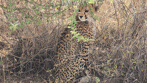 A Bittersweet Note to End 2025