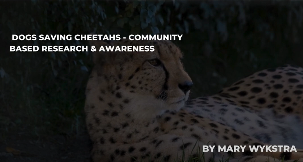 Dogs Saving Cheetahs: Community Based Research & Awareness