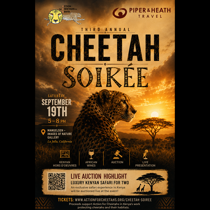 3rd Annual Cheetah Soirée