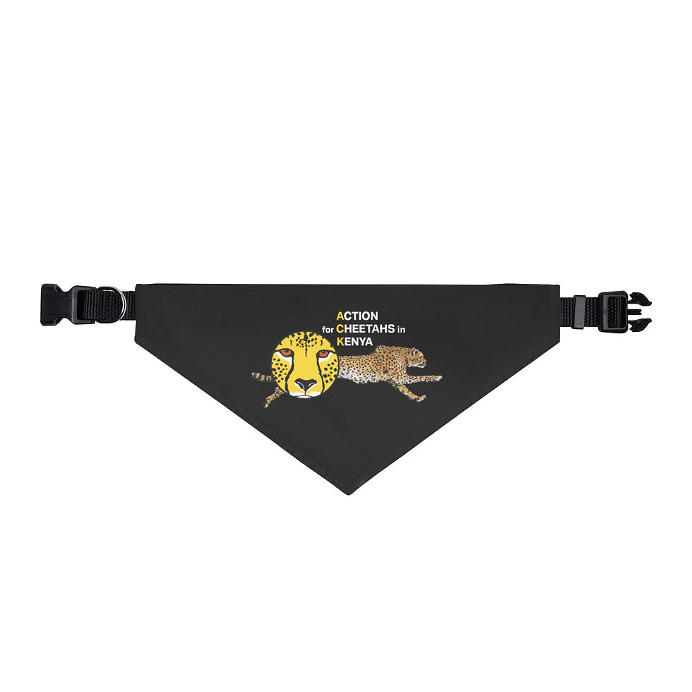 Thumbnail: Cheetah Conservation Clip-On Pet Bandana — Action for Cheetahs in Kenya Logo