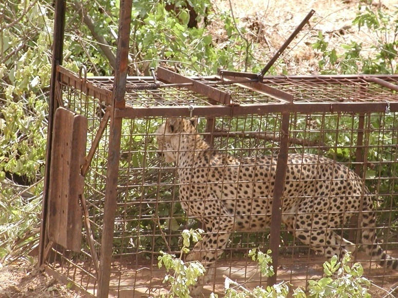 Flashback to the Field: ACK 2006-2007