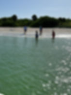 photo jul 15 2022, 9 37 35 am