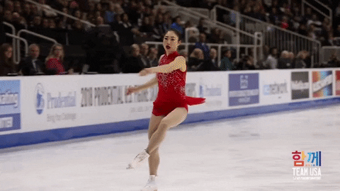 FS3.gif