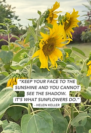 Screenshot 2024-12-03 at 2.52.25 PM.png