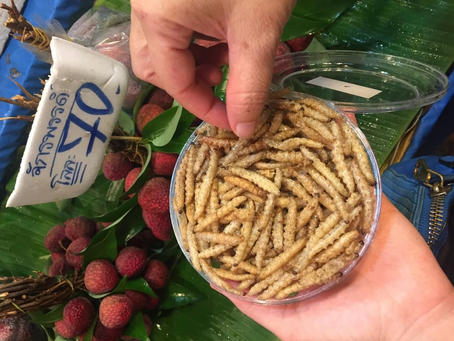 Non Pai ou Larva de Bambu